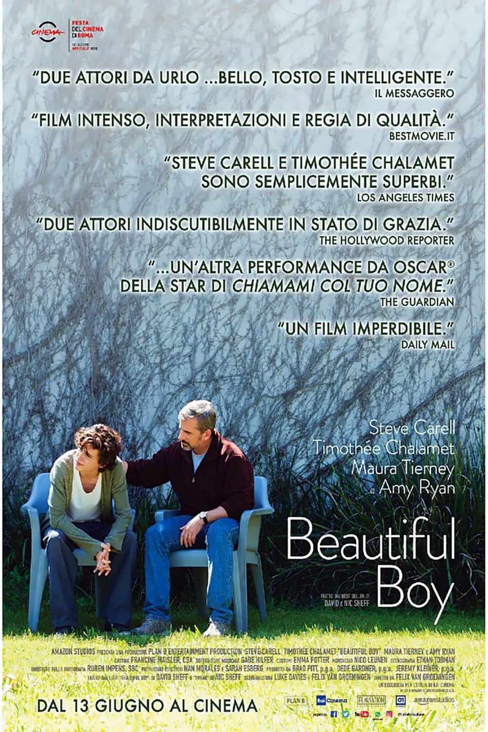 Beautiful Boy - Felix van Groeningen · 2018