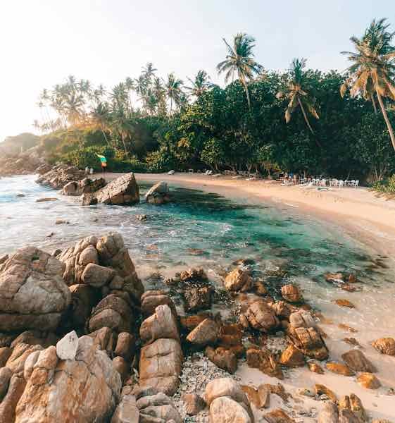 Mirissa Beach - Surf Beach