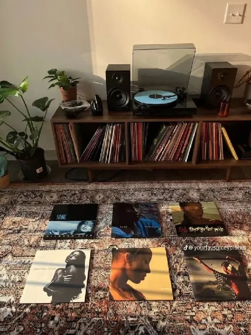 Mueble para vinilos.