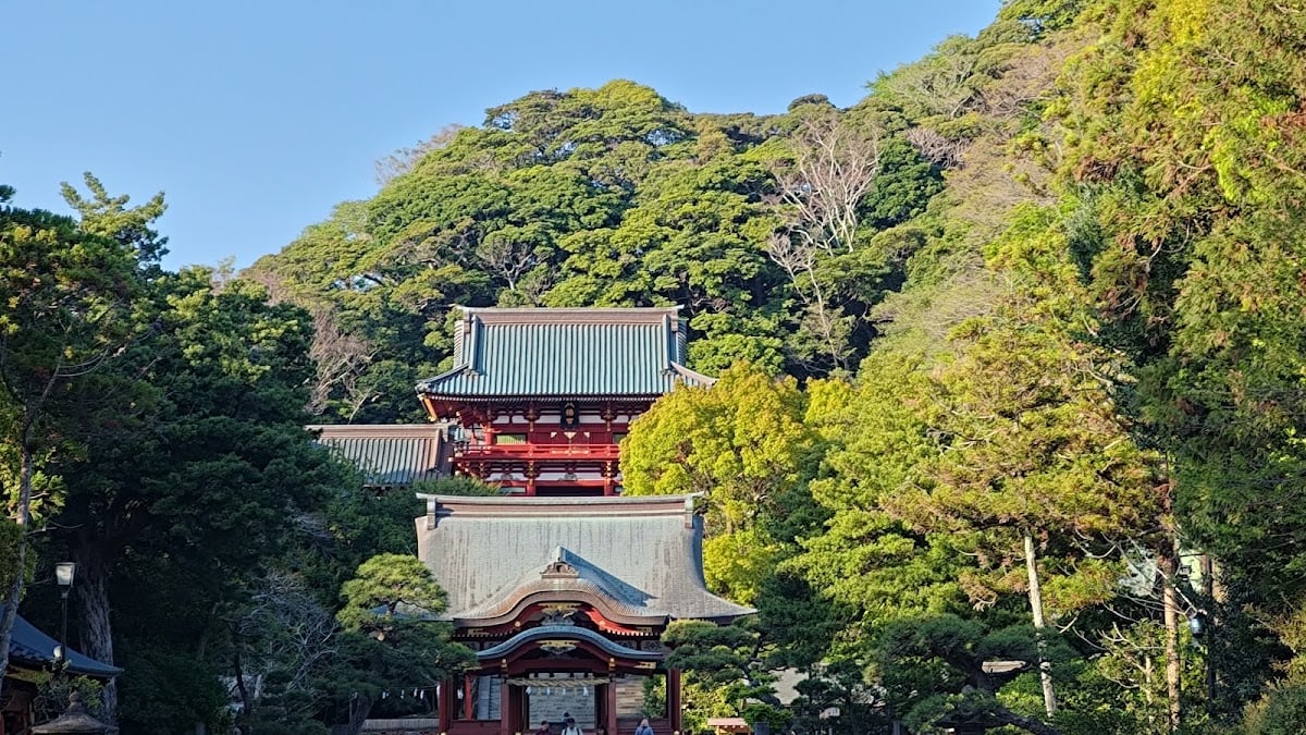 Tsurugaoka Hachimangu