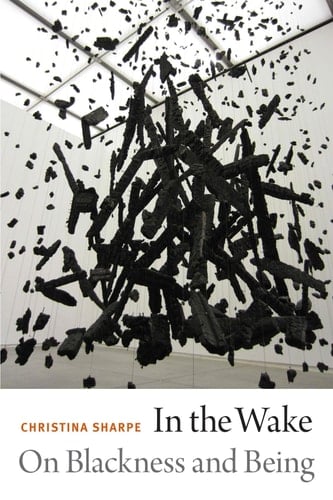 In the Wake: On Blackness and Being - Christina Sharpe · 2016
