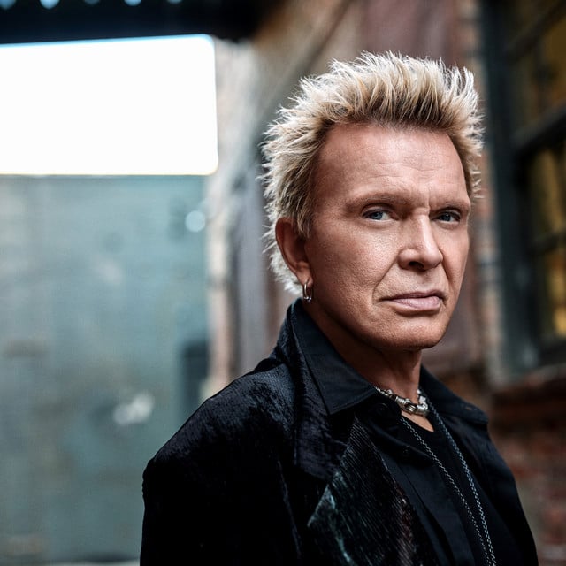 Billy Idol - Artist