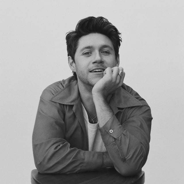 Niall Horan - Artist