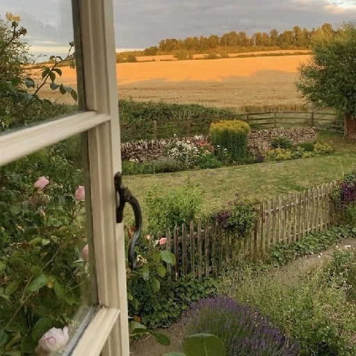 a yard like this