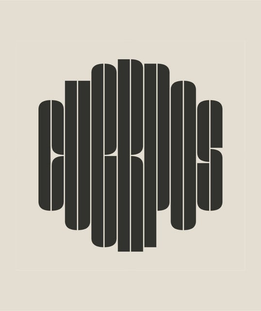 Babasonicos - Artist