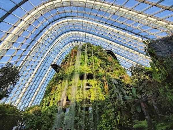 Cloud Forest