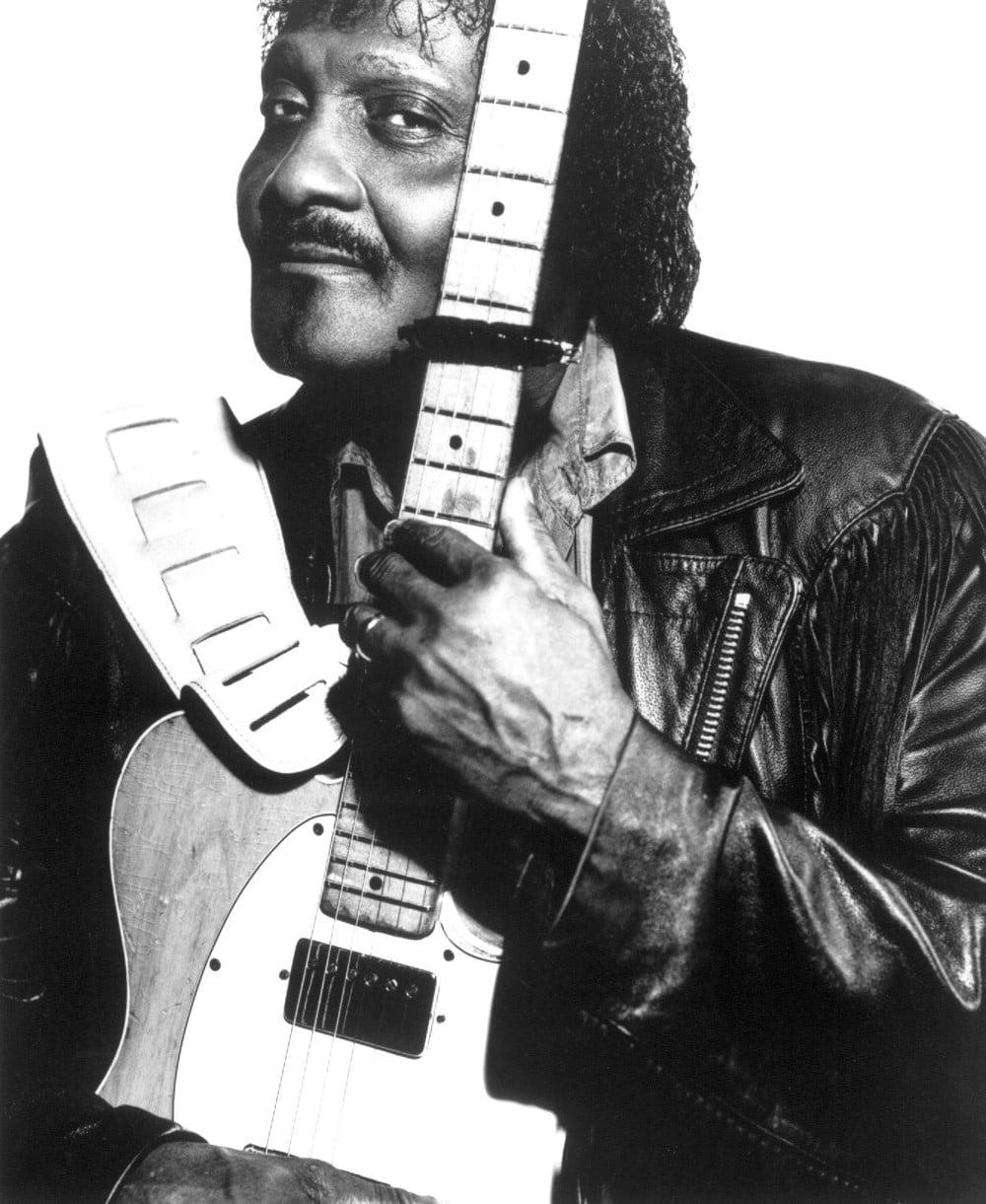 Albert Collins - Artist