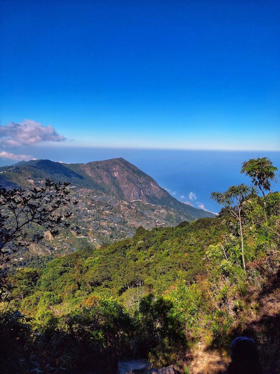 Lagunazo