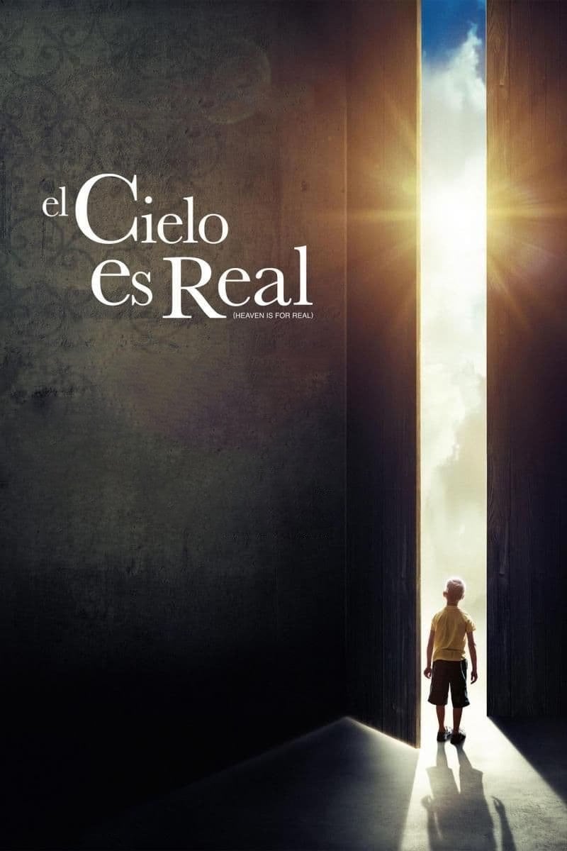 El cielo sí existe - Randall Wallace · 2014