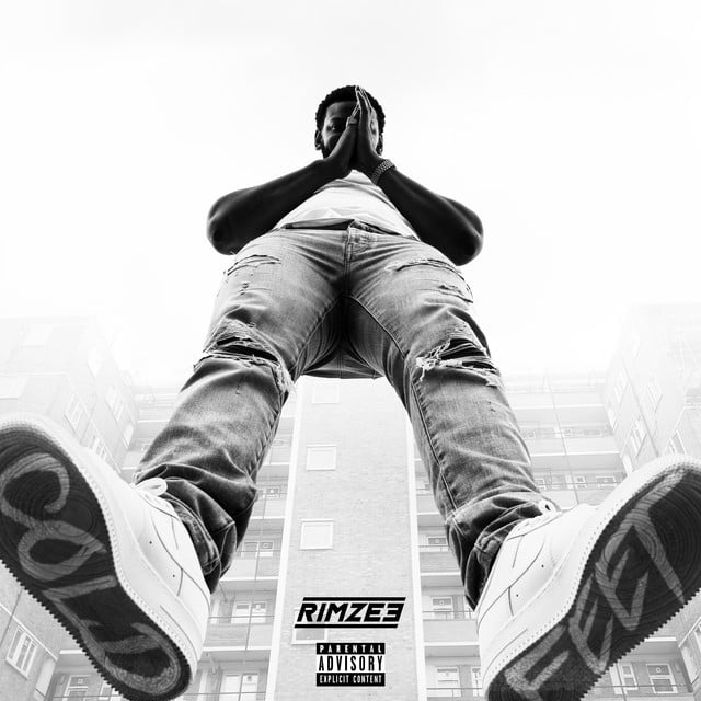Expensive Pain - Song · Rimzee, Born Trappy