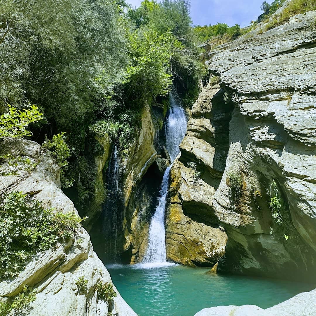 Bogovë