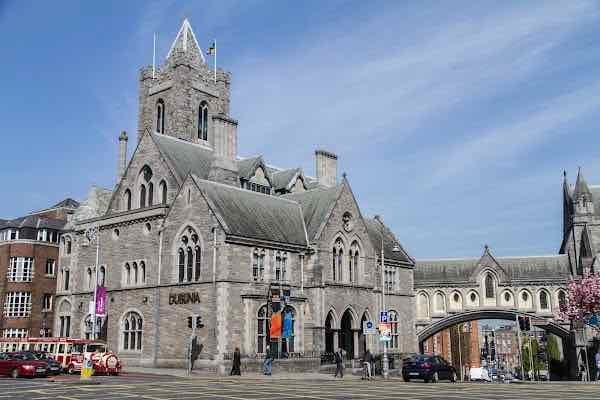 Dublinia