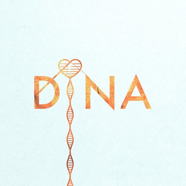 DiNA - Song · Yuuri