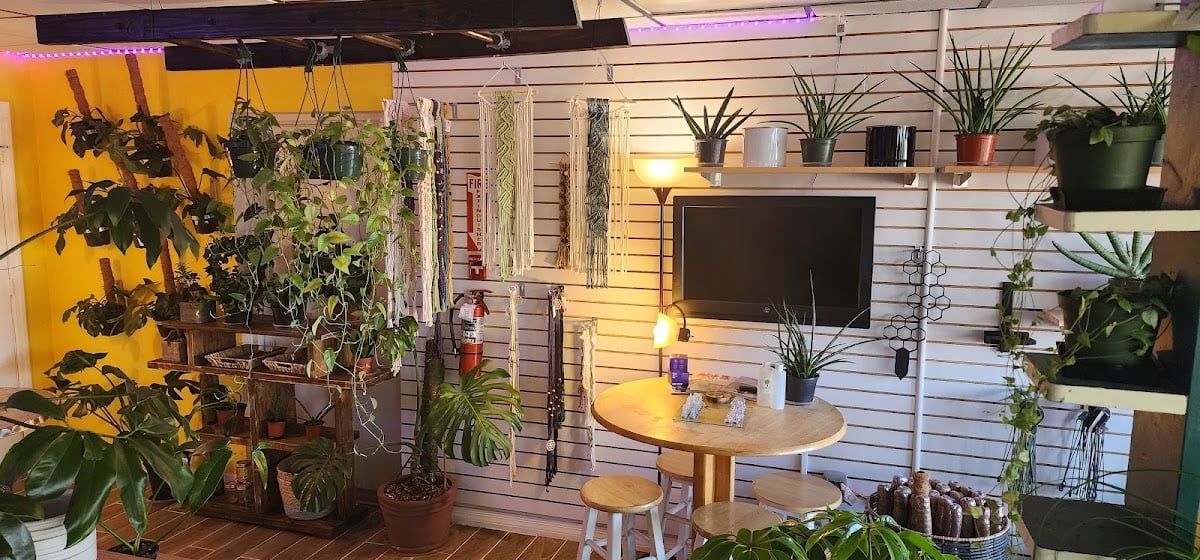 The Plant Trap