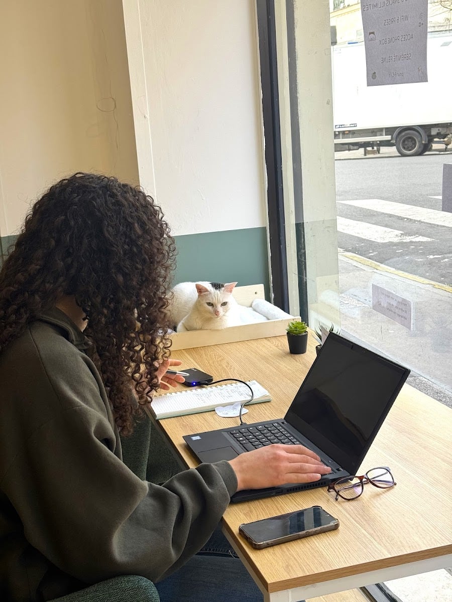 Koneko Work | Paris 12 | Espace de Coworking avec chats à l'adoption