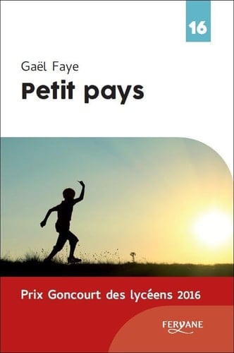 Petit pays - Gaël Faye · 2024