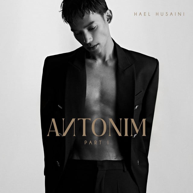 Please - Track · Hael Husaini