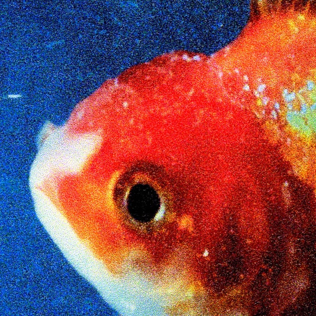 Big Fish Theory - Album · Vince Staples