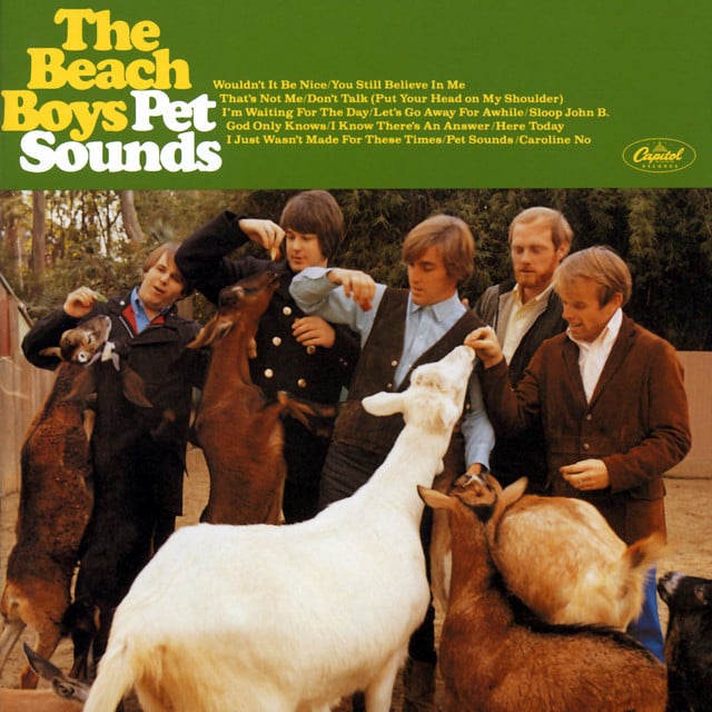 Wouldn't It Be Nice - Song · The Beach Boys