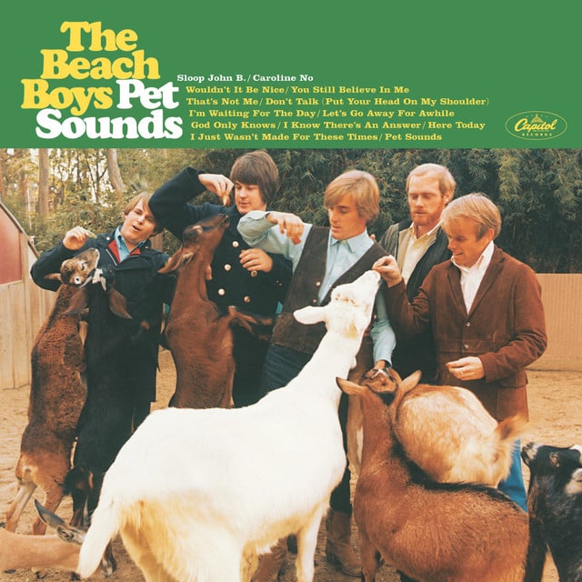 I Just Wasn't Made For These Times - Song · The Beach Boys
