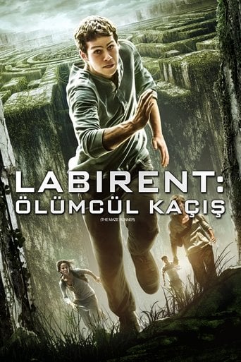 Labirent: Ölümcül Kaçış - Wes Ball · 2014