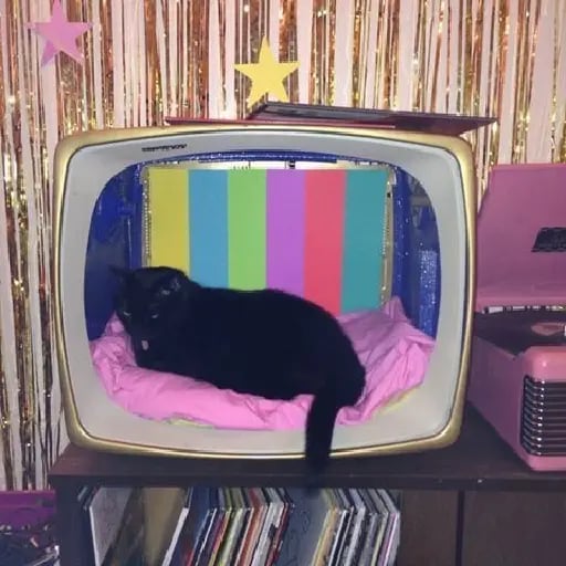 a vintage tv cat bed (and a cat)