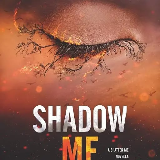 Shadow Me (Shatter Me Novella Book 3) - Tahereh Mafi • 2019