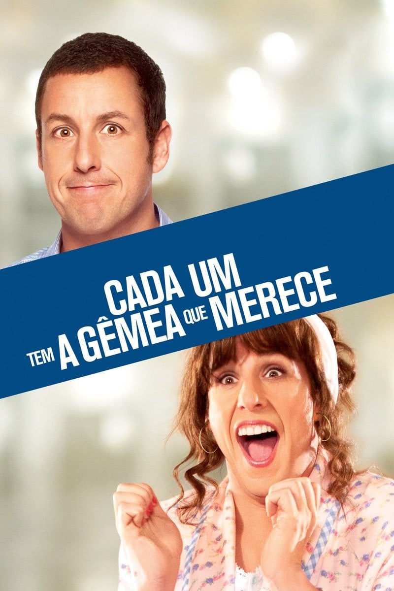 Cada um Tem a Gêmea que Merece - Dennis Dugan · 2011
