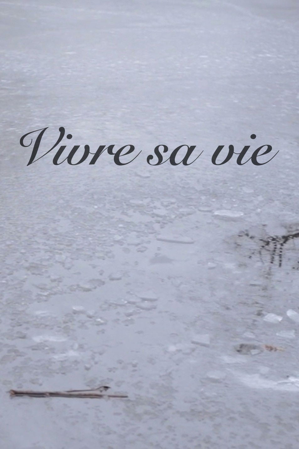 Vivre Sa Vie - Paul D. Meyer · 2013