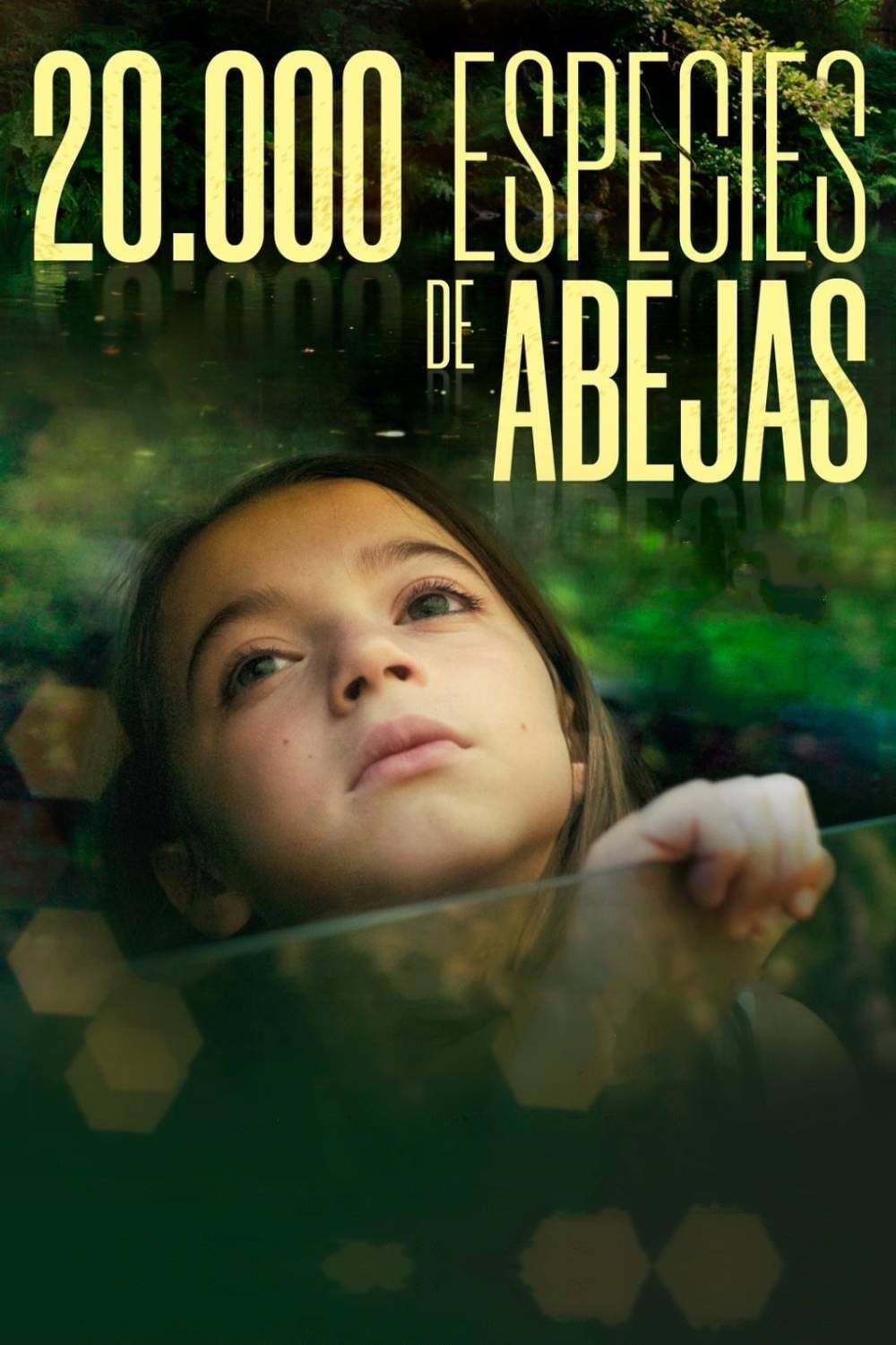 20.000 especies de abejas - Estibaliz Urresola Solaguren · 2023