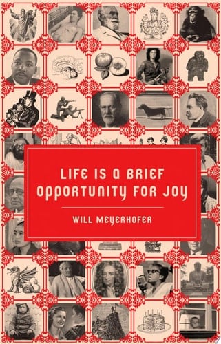 Life is a Brief Opportunity for Joy - Will Meyerhofer
