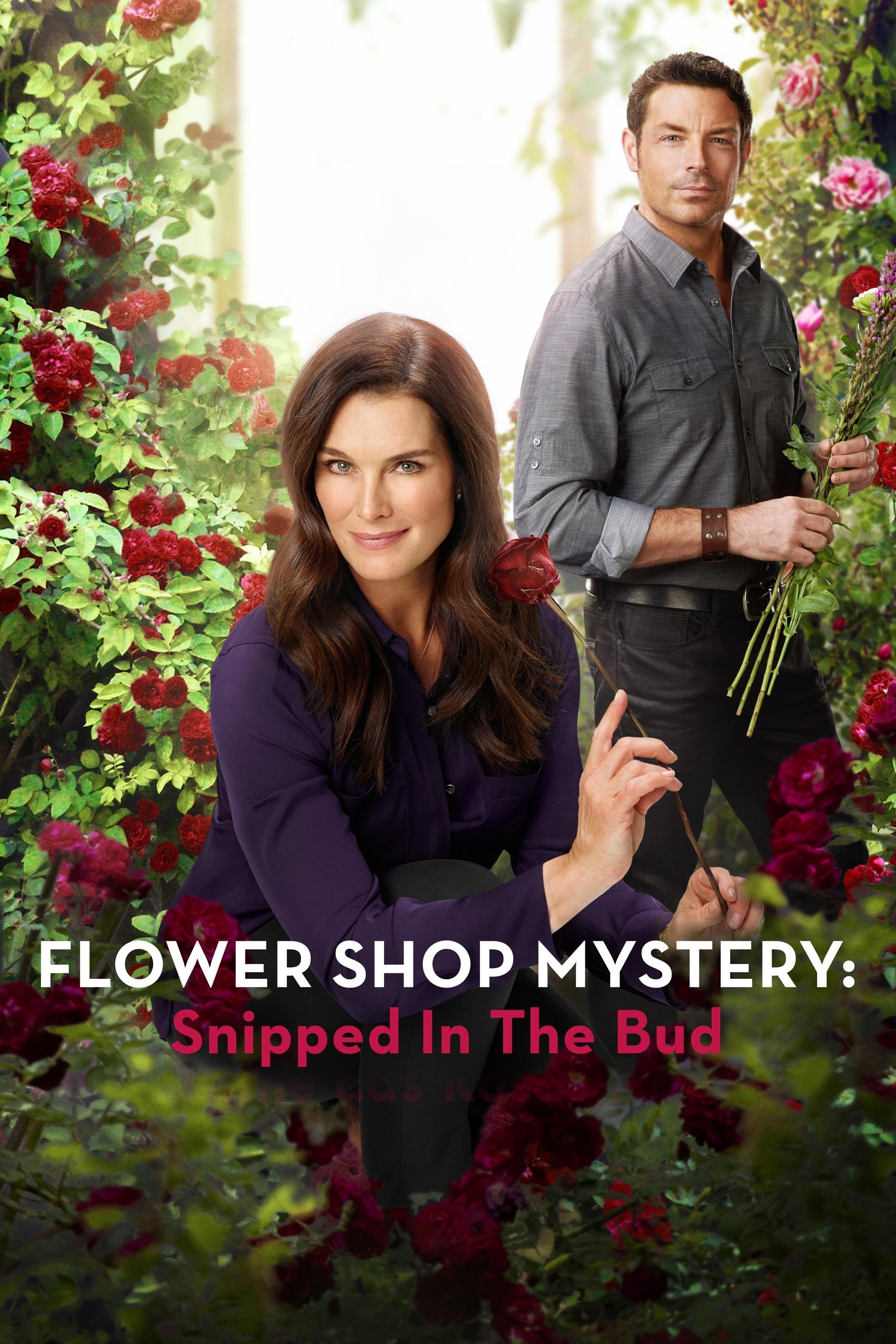 Misterio en la Floristería: Cortado de raíz - Bradley Walsh · 2016