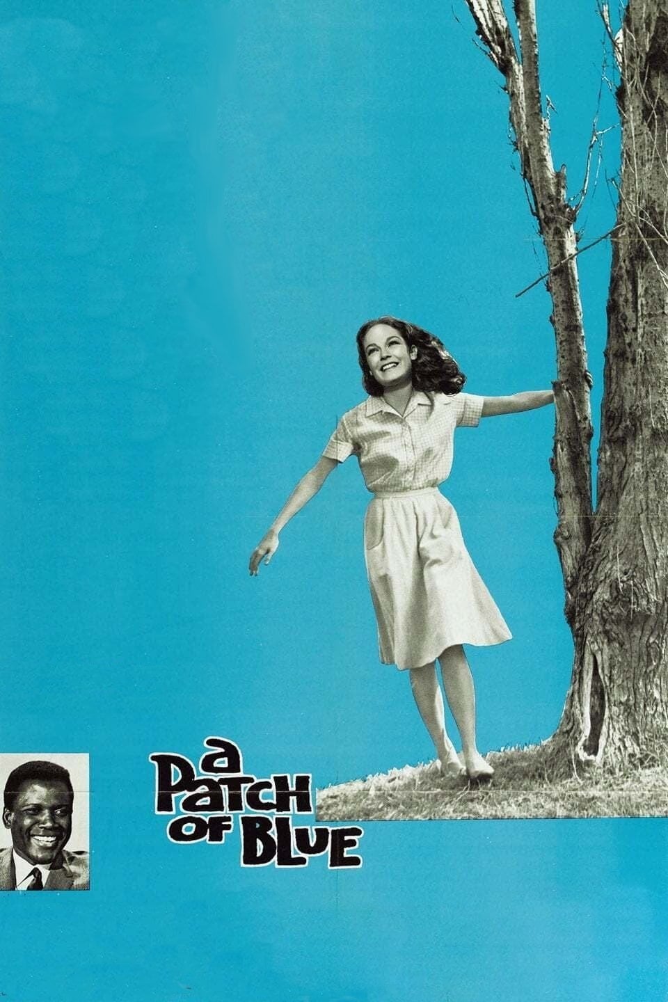 A Patch of Blue - Guy Green · 1965
