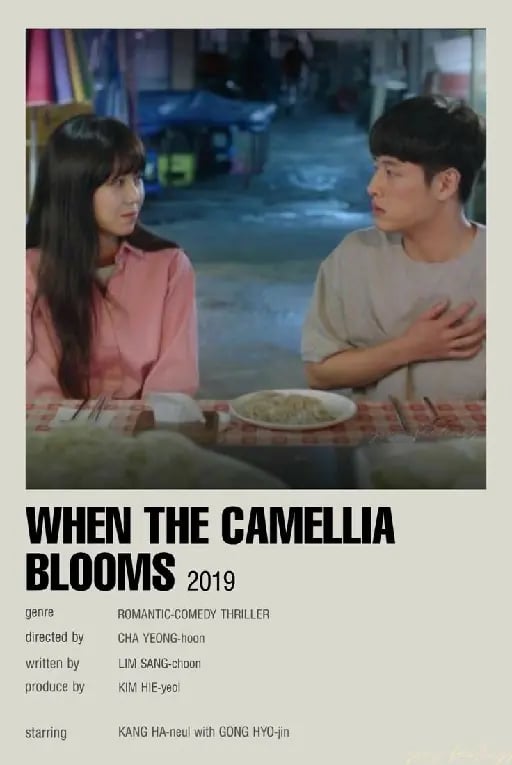 When the camellia blooms