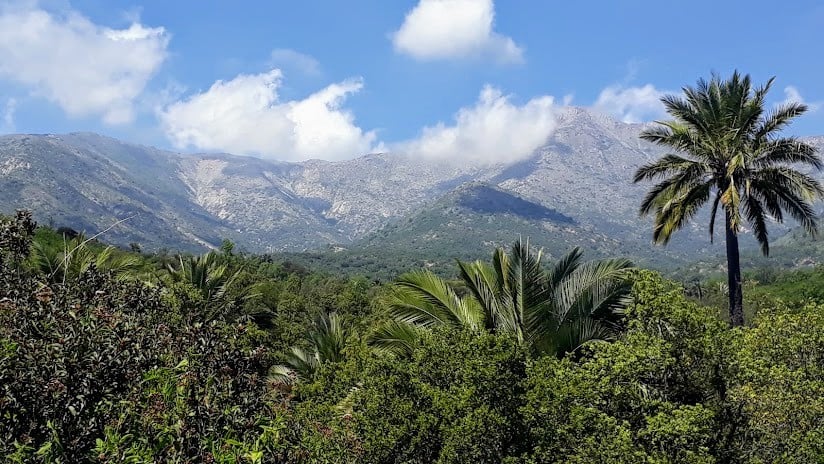 La Campana National Park - No pasa del 2025 sin ir