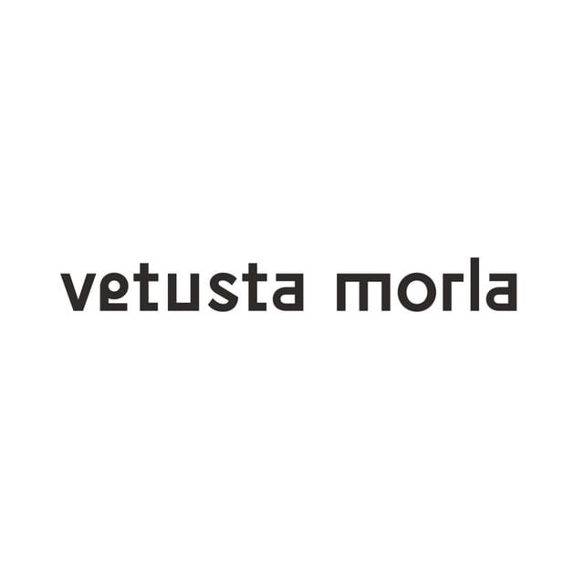 Vetusta Morla - Artist