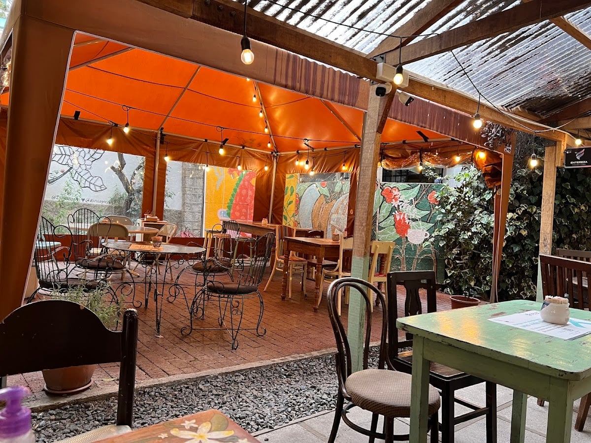 Typica Café