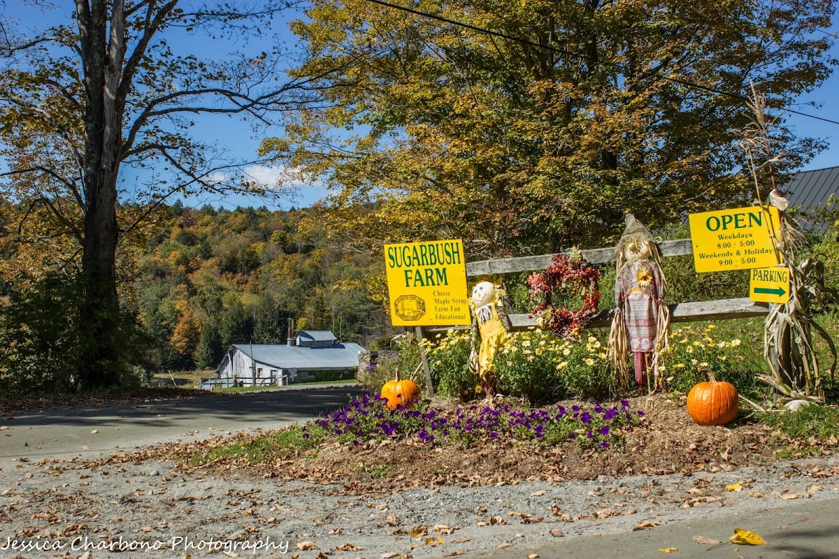 Sugarbush Farm - Ahorn og oste farm