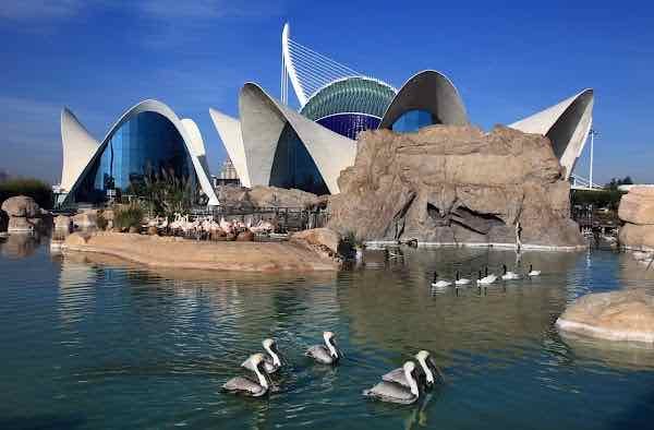 Ciudad de las Artes y las Ciencias