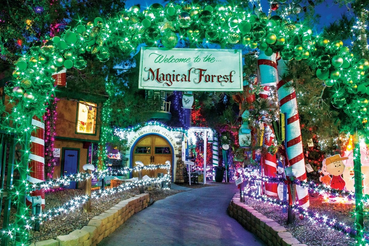 Magical Forest at Opportunity Village - 冬祭り