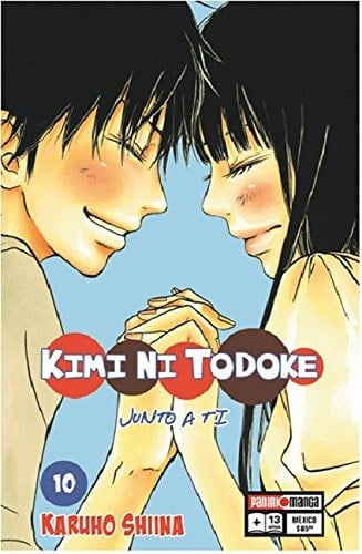 KIMI NI TODOKE N.10 - unknown author