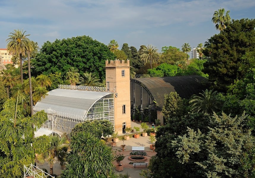 Jardín Botánico - Botanical Garden · Extramurs, València