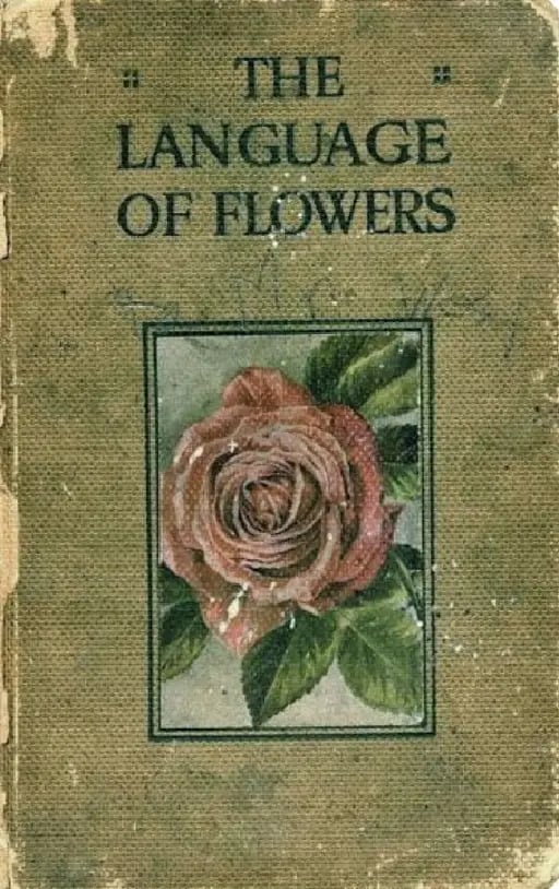 Aprender el lenguaje de las flores
