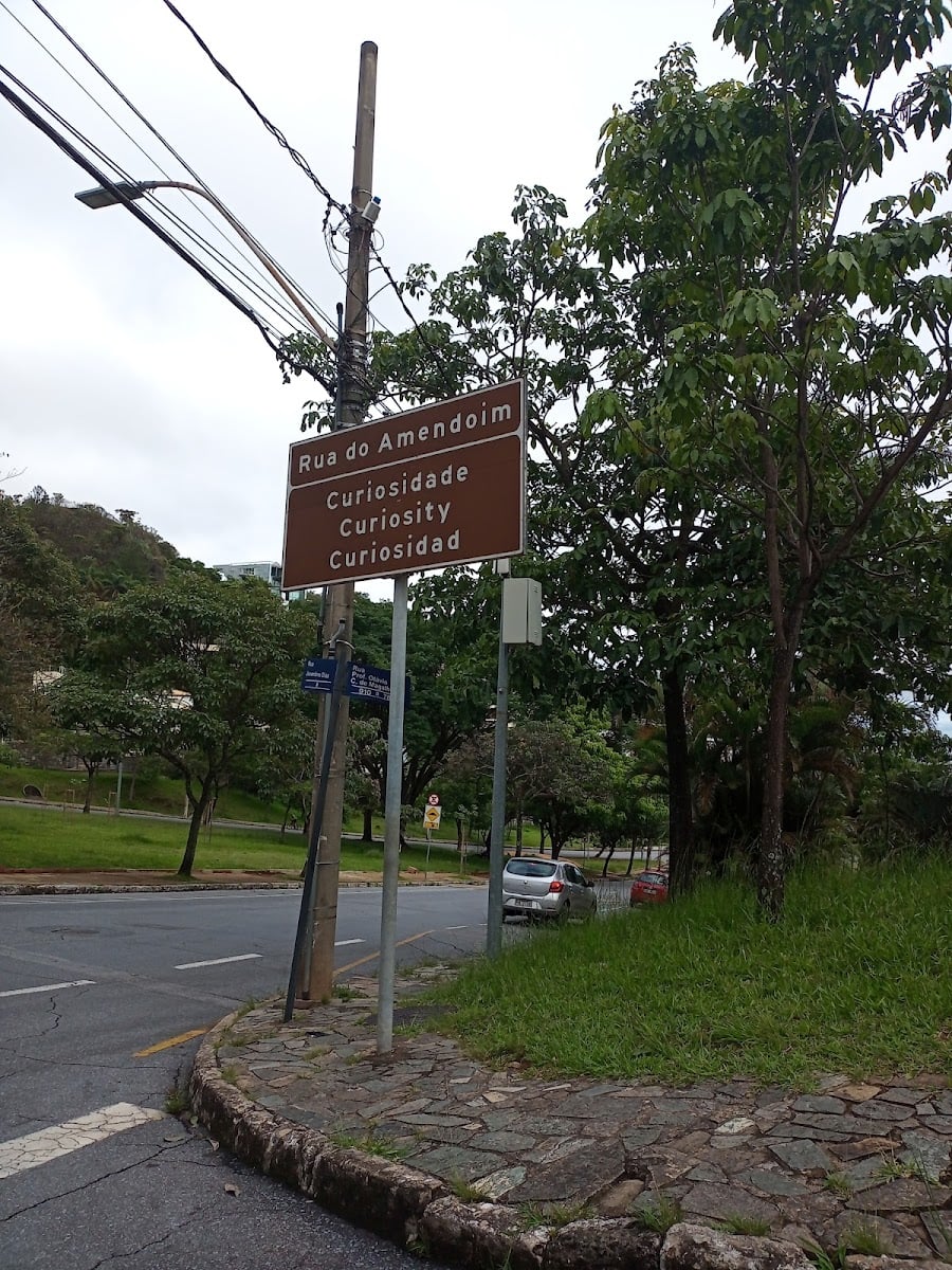 Rua do Amendoim - Rua da gravidade