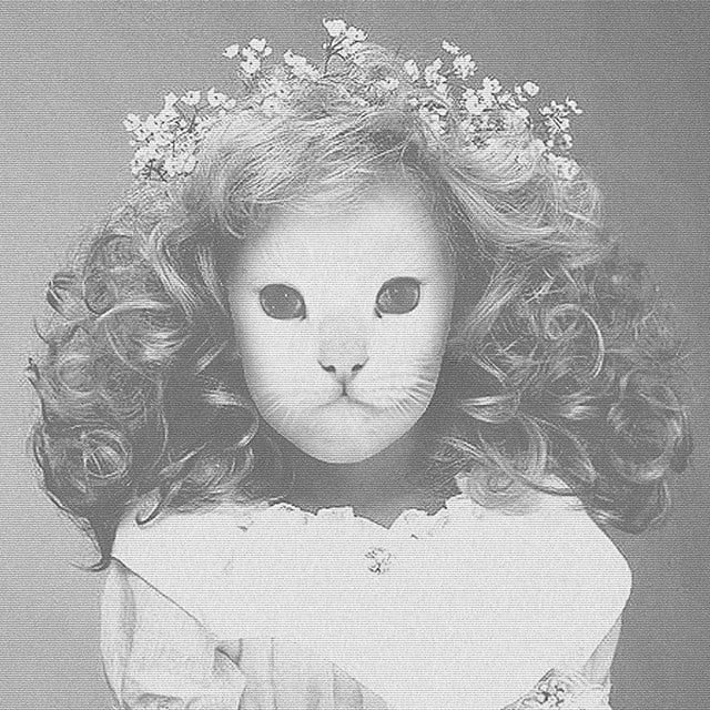 Mother Mary - Song · Mr.Kitty