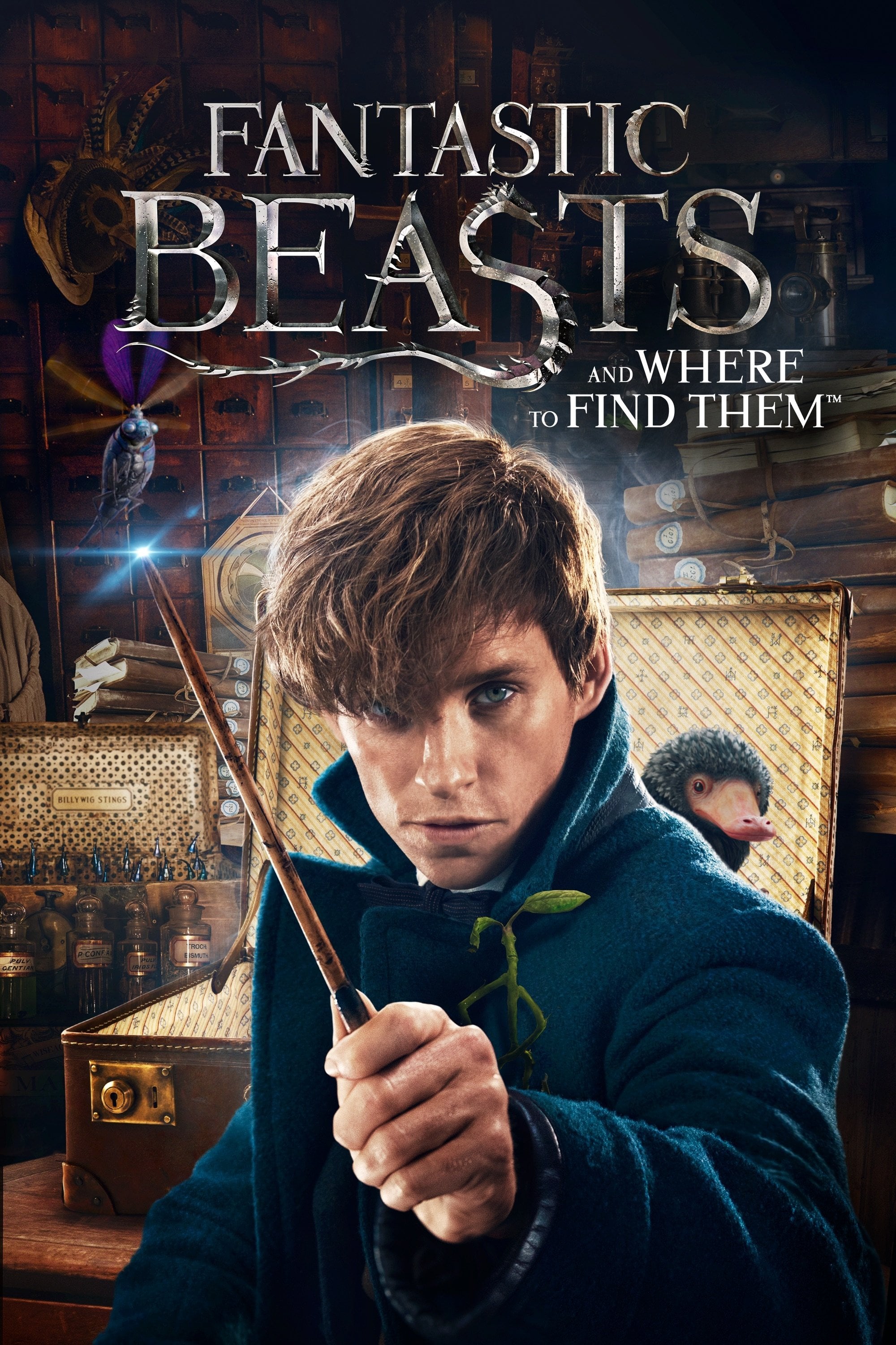 Fantastic Beasts and Where to Find Them - David Yates · 2016