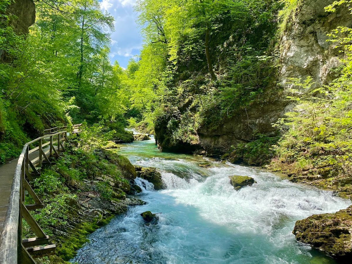 Vintgar Gorge