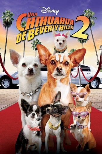 Un chihuahua en Beverly Hills 2 - Alex Zamm · 2011