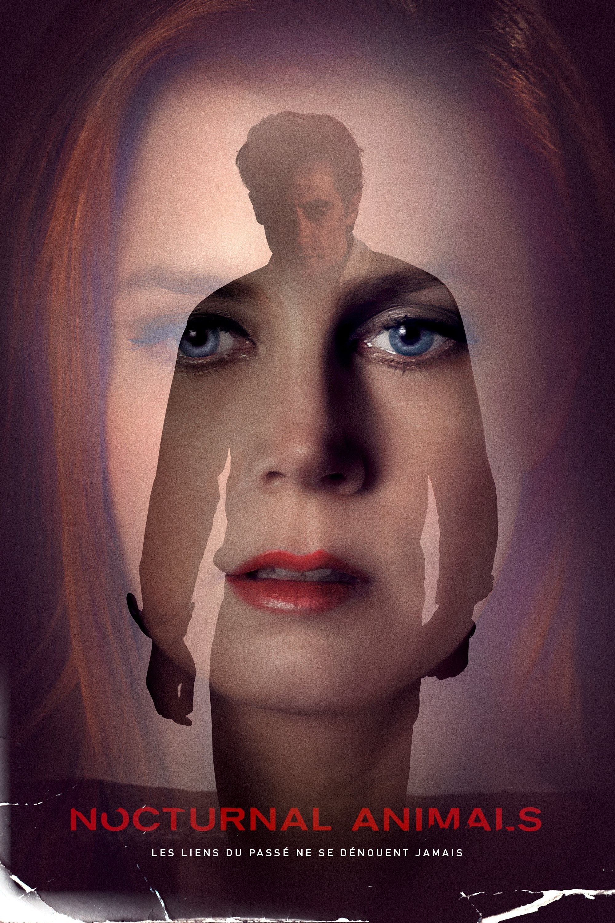 Nocturnal Animals - Tom Ford · 2016