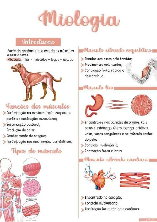 Hacer apuntes - Entendibles y completos